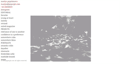 Desktop Screenshot of pepecph.com